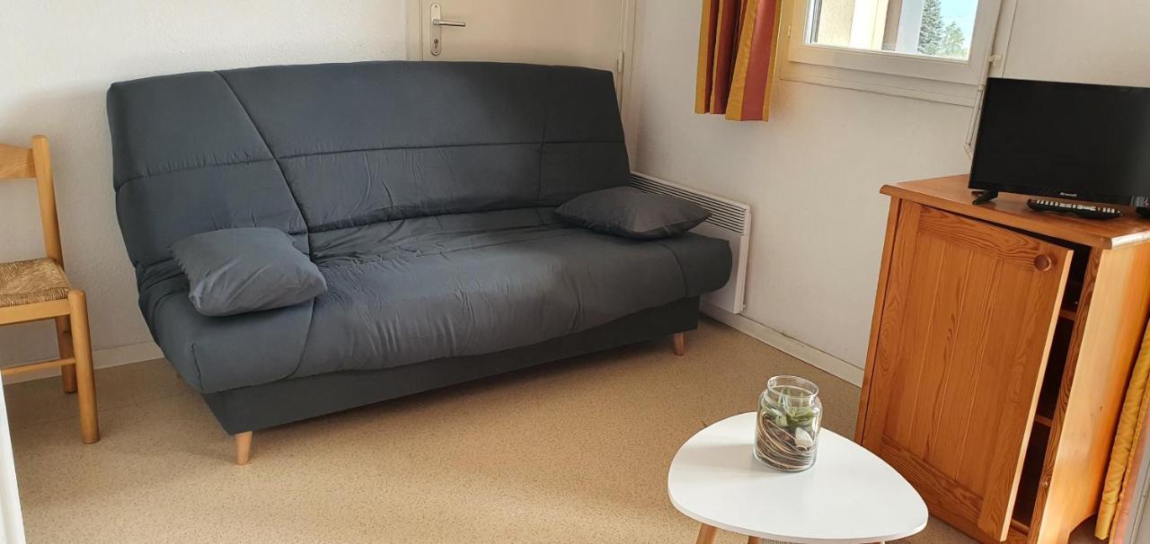 Charmant Studio Face Aux Pyrenees Font-Romeu-Odeillo-Via Ngoại thất bức ảnh